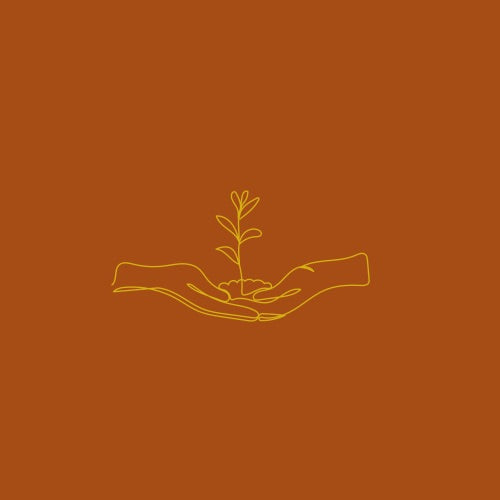 Root and Rise Therapy